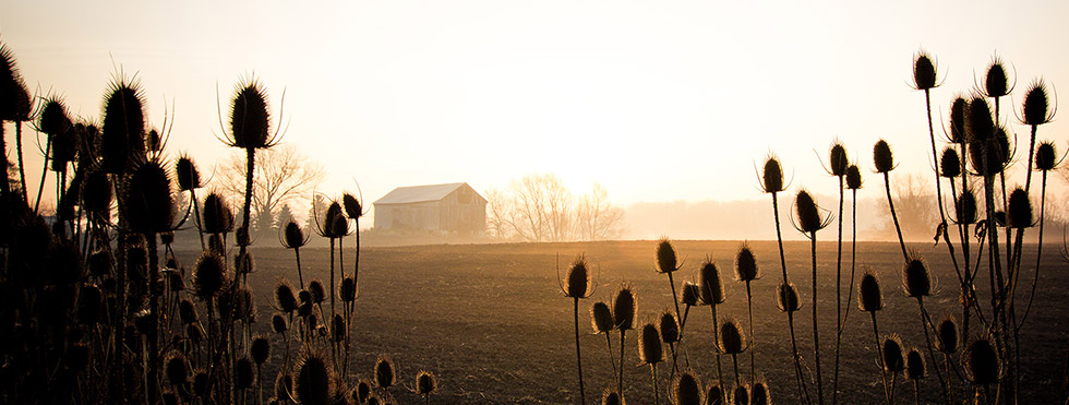 The Lonely BarnNovember 22, 2012 /&nbsp;View Photo