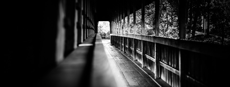 The BridgeOctober 25, 2012 /&nbsp;View Photo